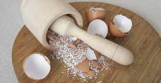 Vaječné skořápky jako zdroj vápníku